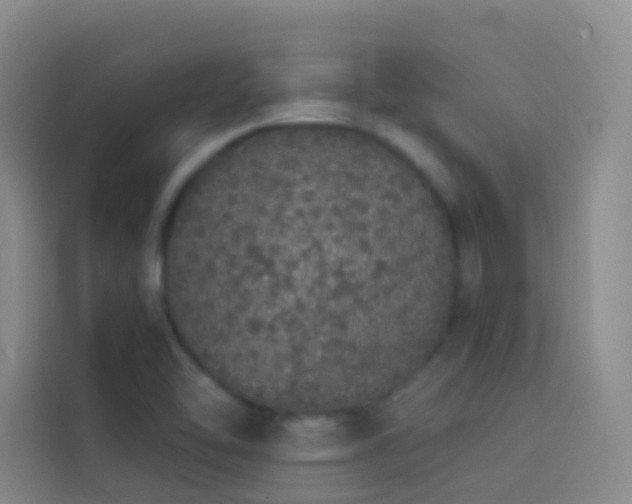 X0000114031462200910021429