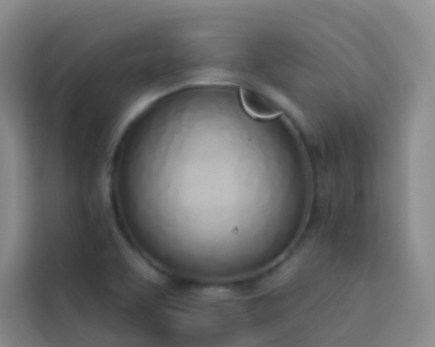 X0000114031463200910021429