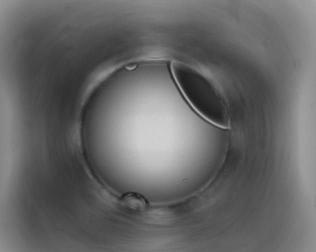 X0000114031464200910021429