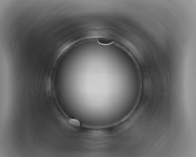 X0000114031465200910021429