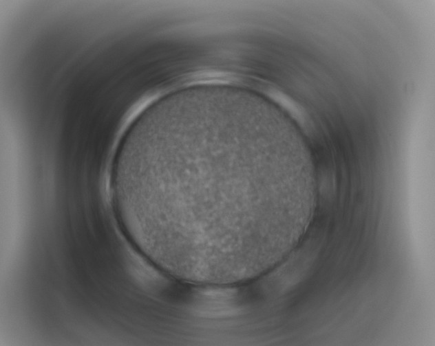 X0000114031466200910021429
