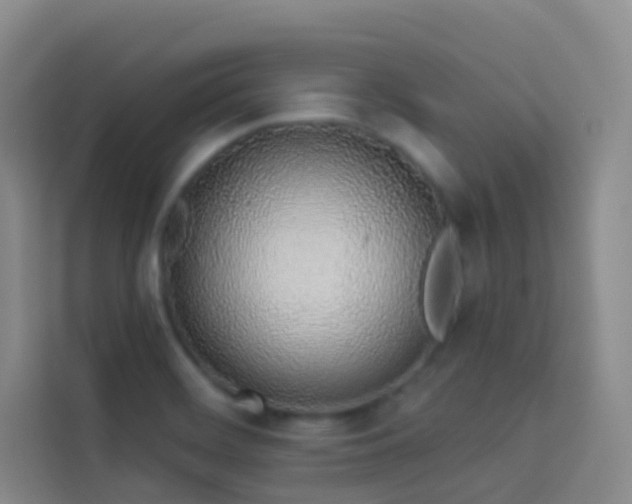 X0000114031468200910021429