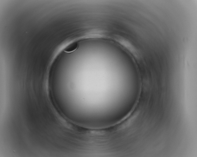 X0000114031469200910021429