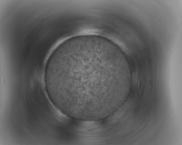 X0000114031470200910021429