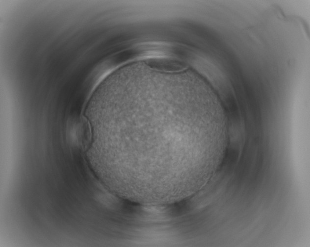 X0000114031473200910021429