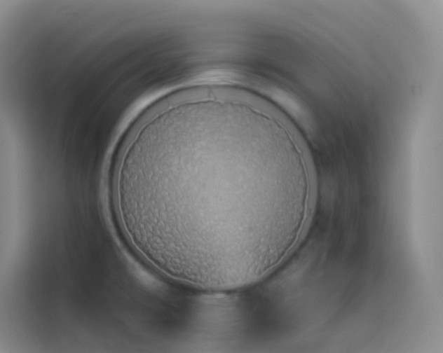 X0000114031478200910021428