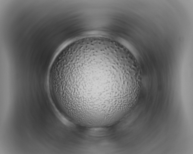 X0000114031482200910021428