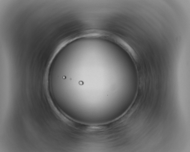 X0000114031483200910021428