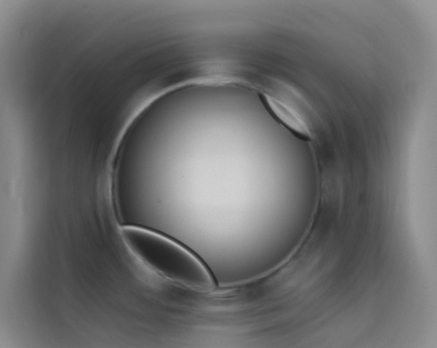 X0000114031484200910021428