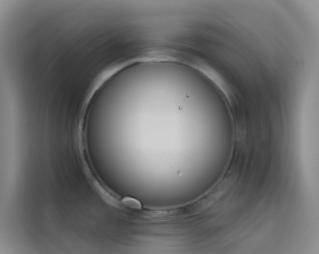 X0000114031485200910021428
