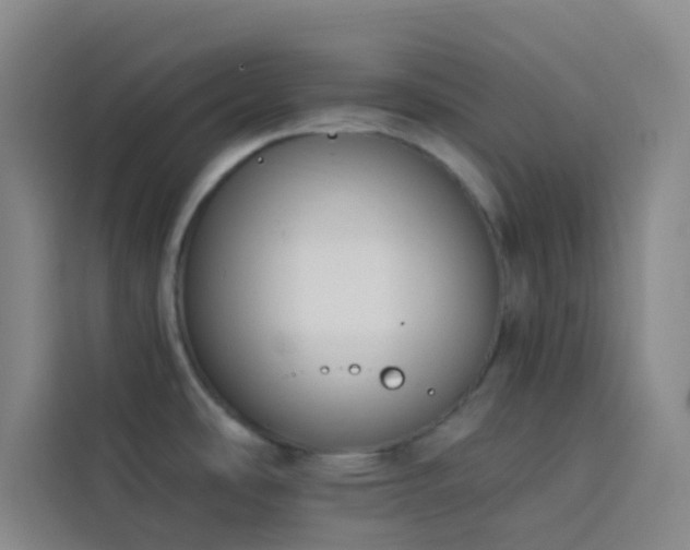 X0000114031486200910021428