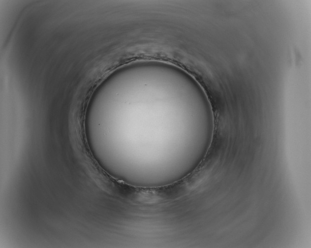 X0000114031489200910021428