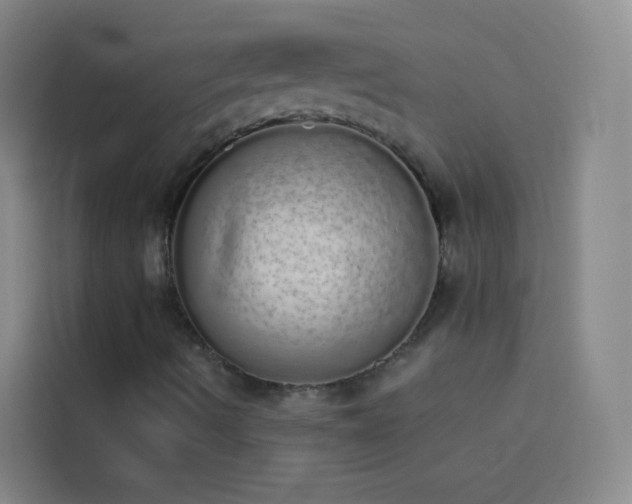 X0000114031490200910021428