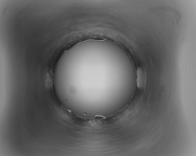 X0000114031491200910021428