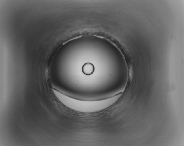 X0000114031492200910021428