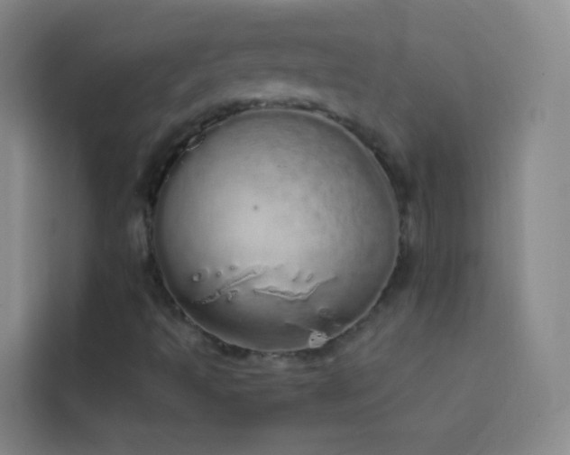 X0000114031493200910021428