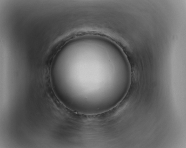 X0000114031494200910021428