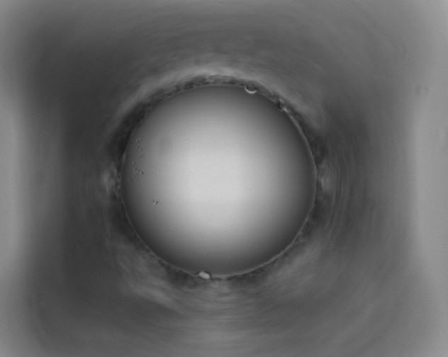 X0000114031495200910021428