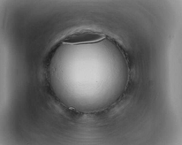 X0000114031496200910021428