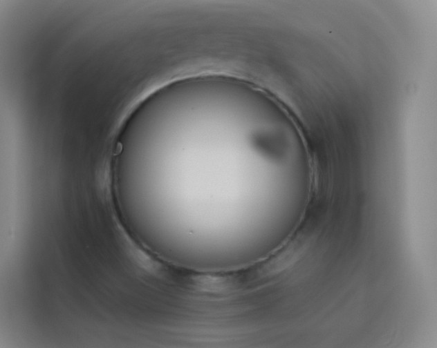 X0000114031500200910021428