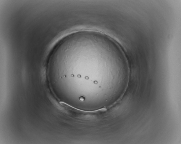X0000114031503200910021428