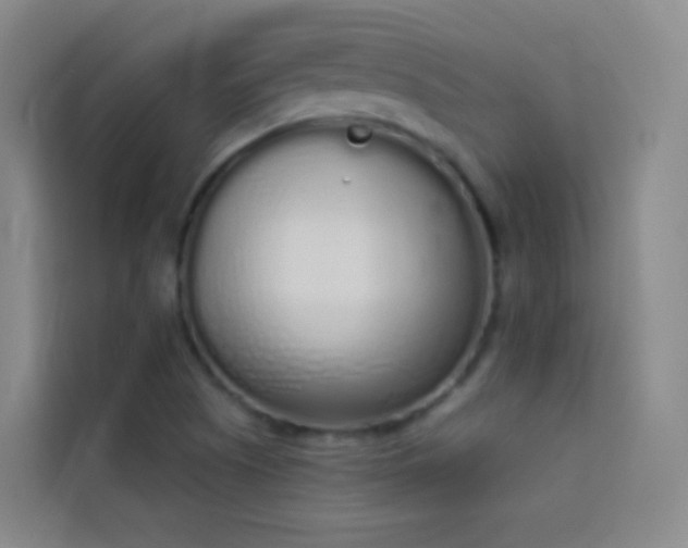X0000114031505200910021428