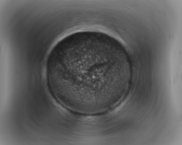 X0000114031506200910021428
