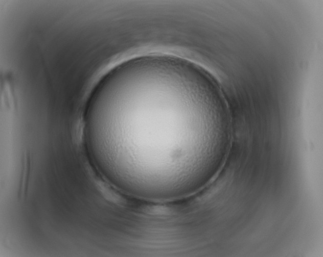 X0000114031507200910021428
