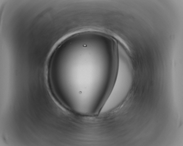X0000114031508200910021428