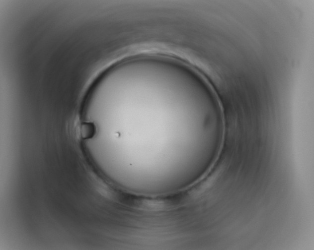 X0000114031509200910021428
