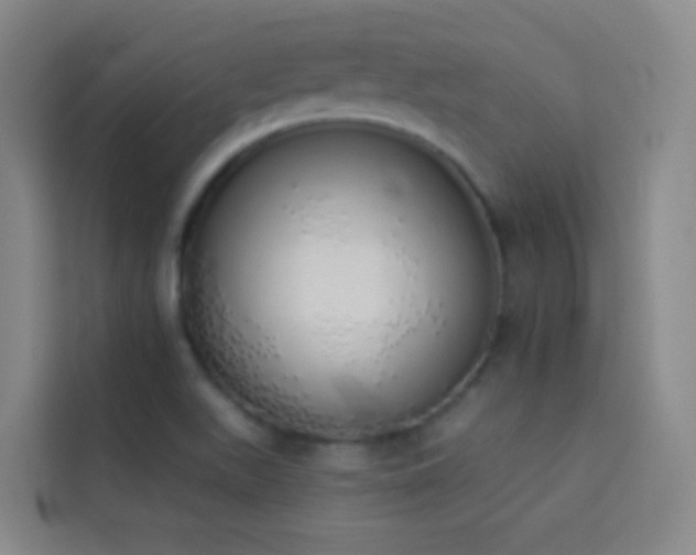 X0000114031511200910021428