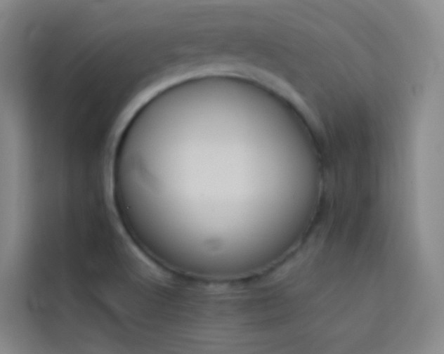 X0000114031512200910021428