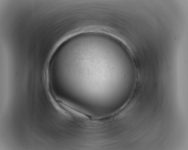 X0000114031515200910021428