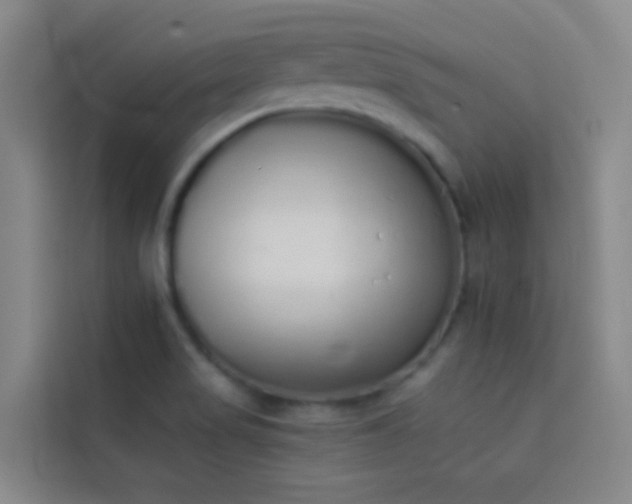 X0000114031517200910021428