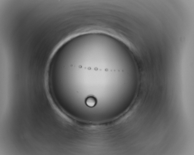 X0000114031518200910021428