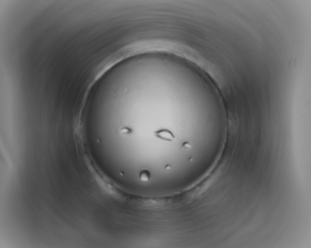X0000114031521200910021428