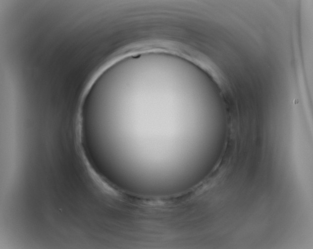 X0000114031524200910021428
