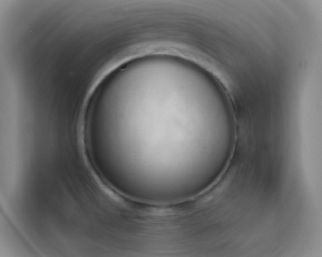 X0000114031525200910021428