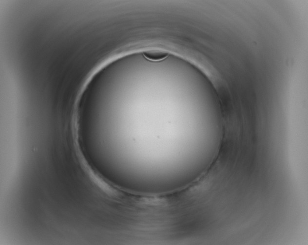 X0000114031526200910021428