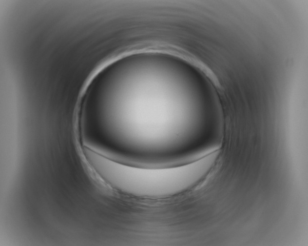 X0000114031530200910021428