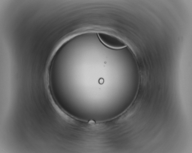 X0000114031531200910021428