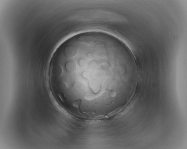 X0000114031534200910021428