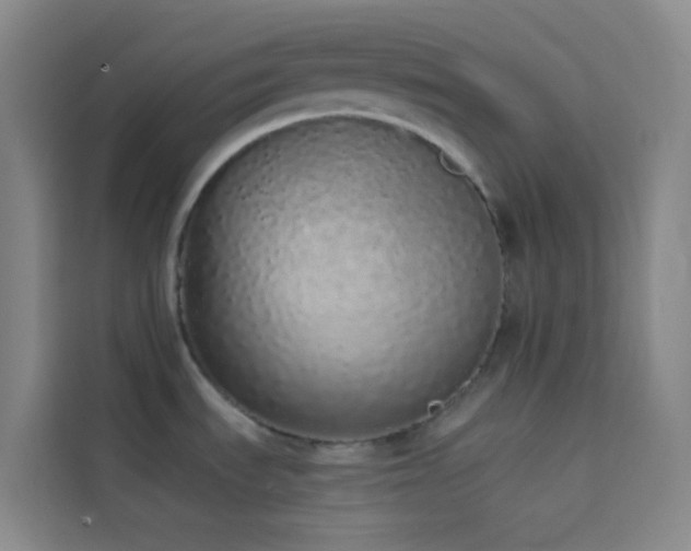 X0000114031535200910021428