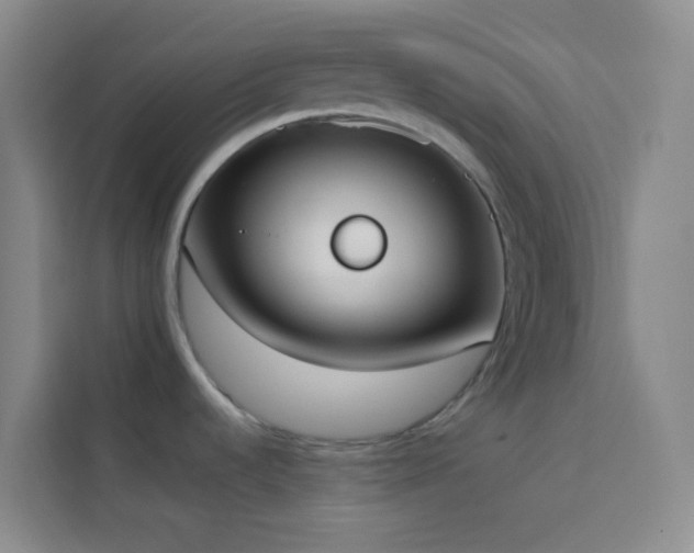 X0000114031536200910021428