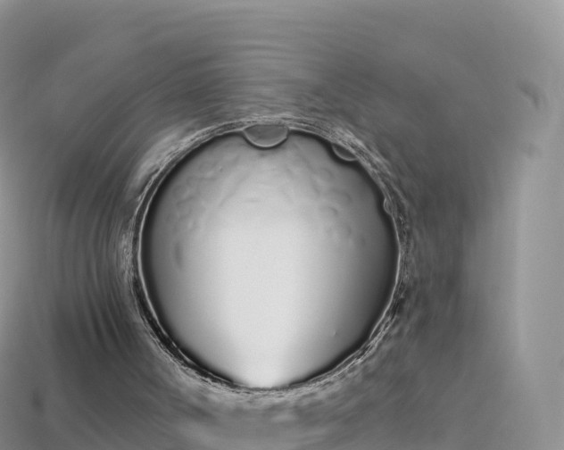 X0000114030002200910091444