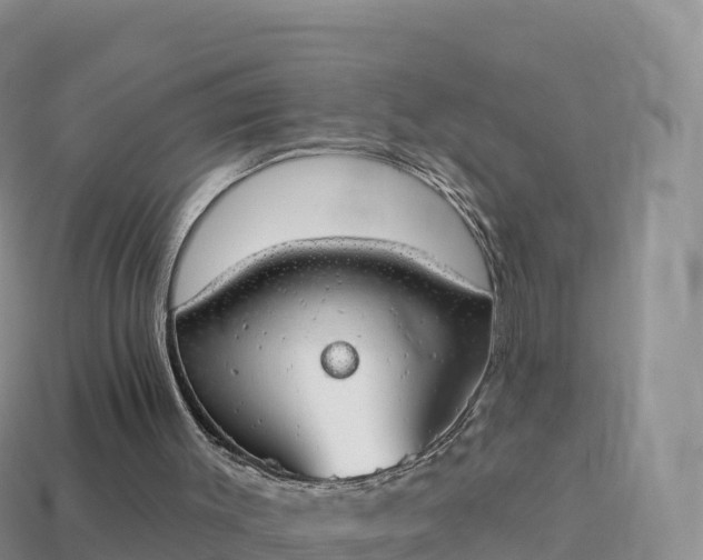 X0000114030003200910091444