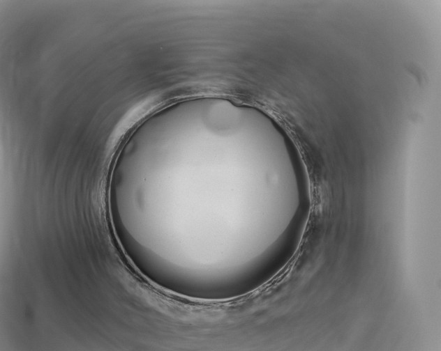 X0000114030004200910091444