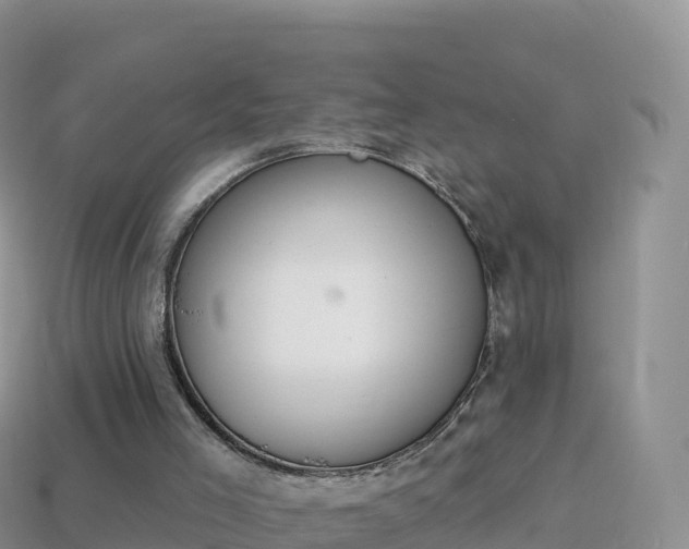 X0000114030005200910091444