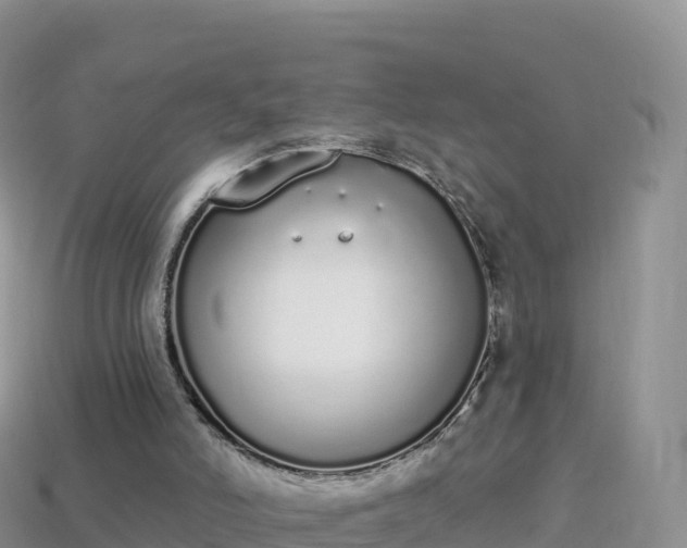 X0000114030006200910091444