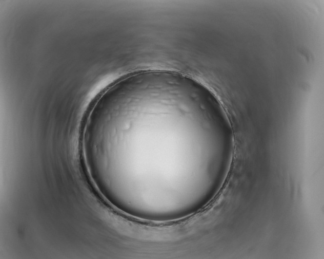 X0000114030008200910091444